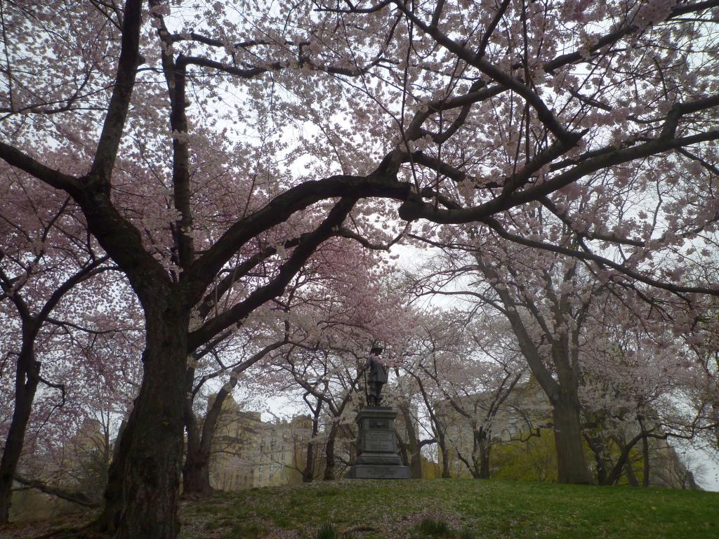Central Park 3