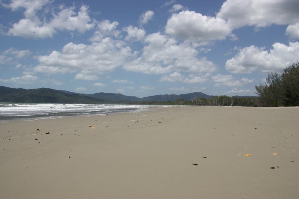 Daintree Manor Beach