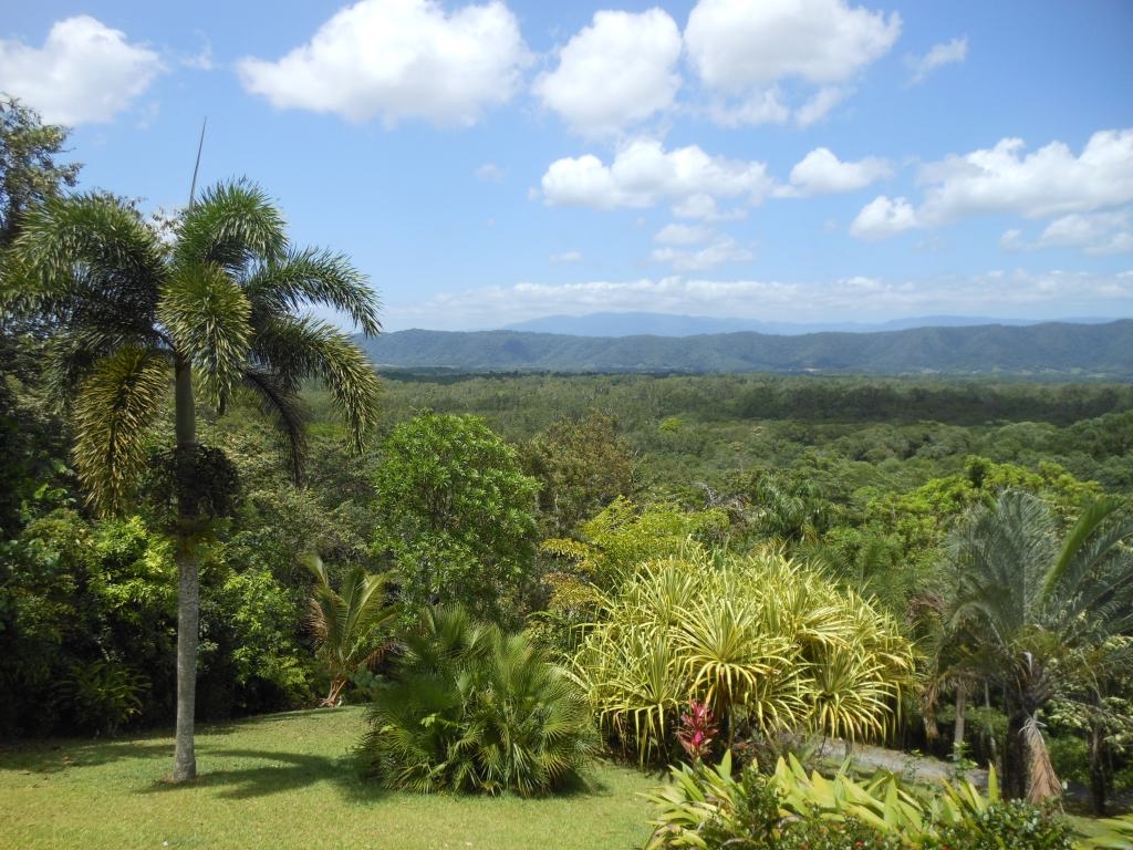 Daintree Manor view