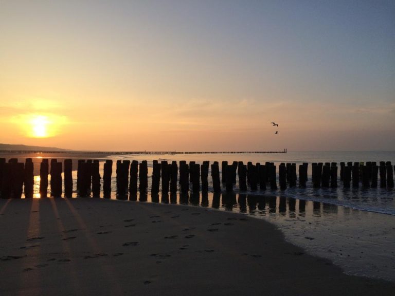 Domburg web