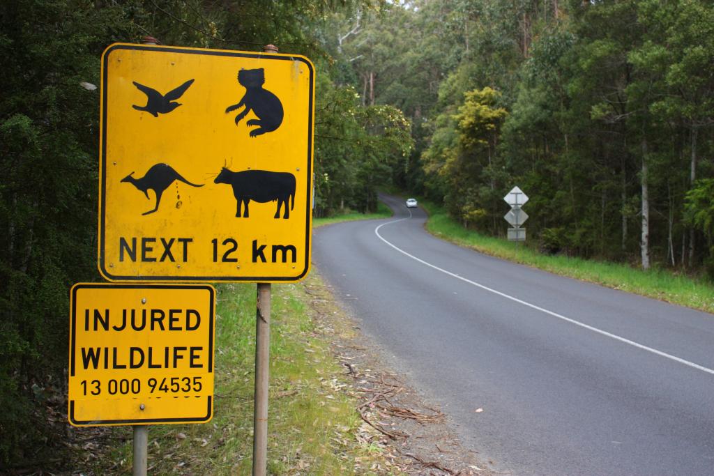 Great Ocean Road Wildlife Sign