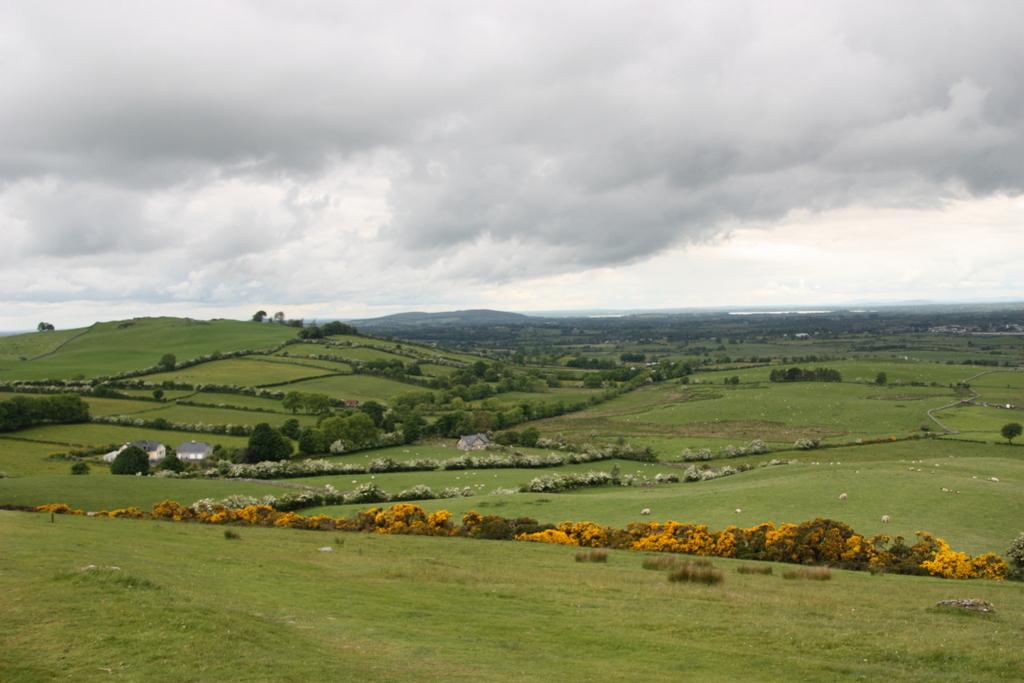 Irish LAndscape