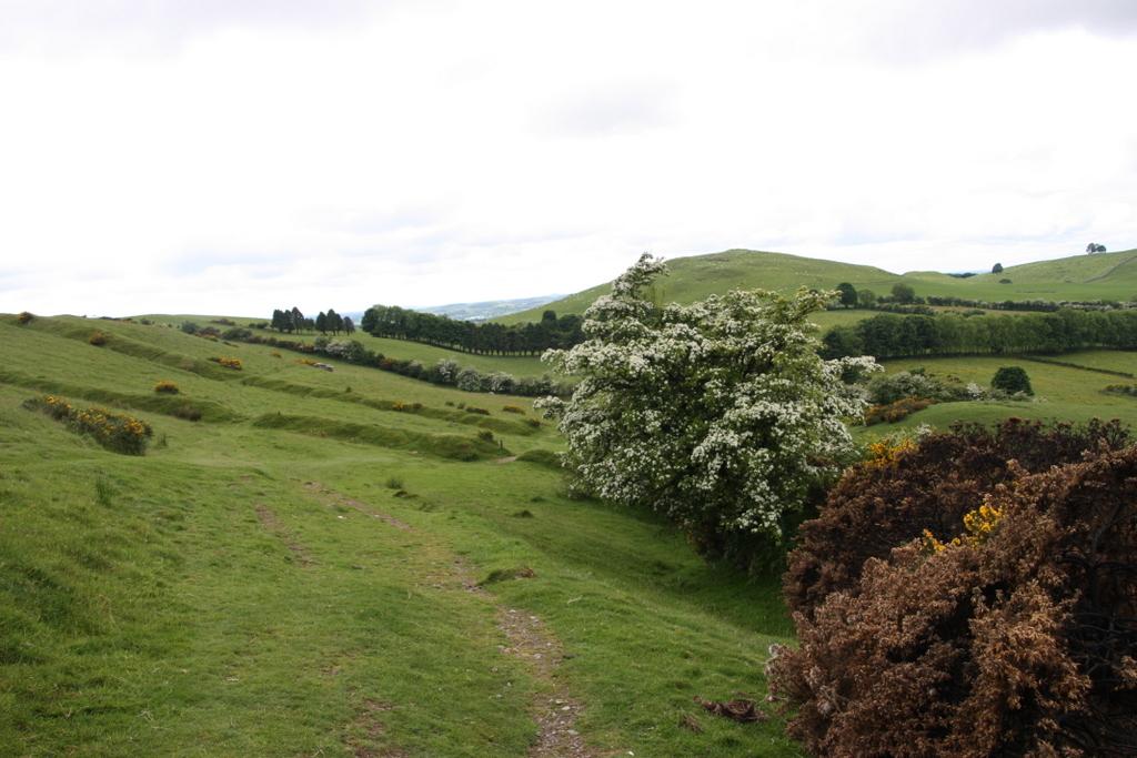 Loghcrew landscape