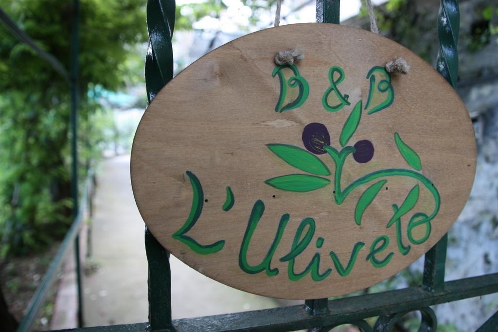 L´uliveto