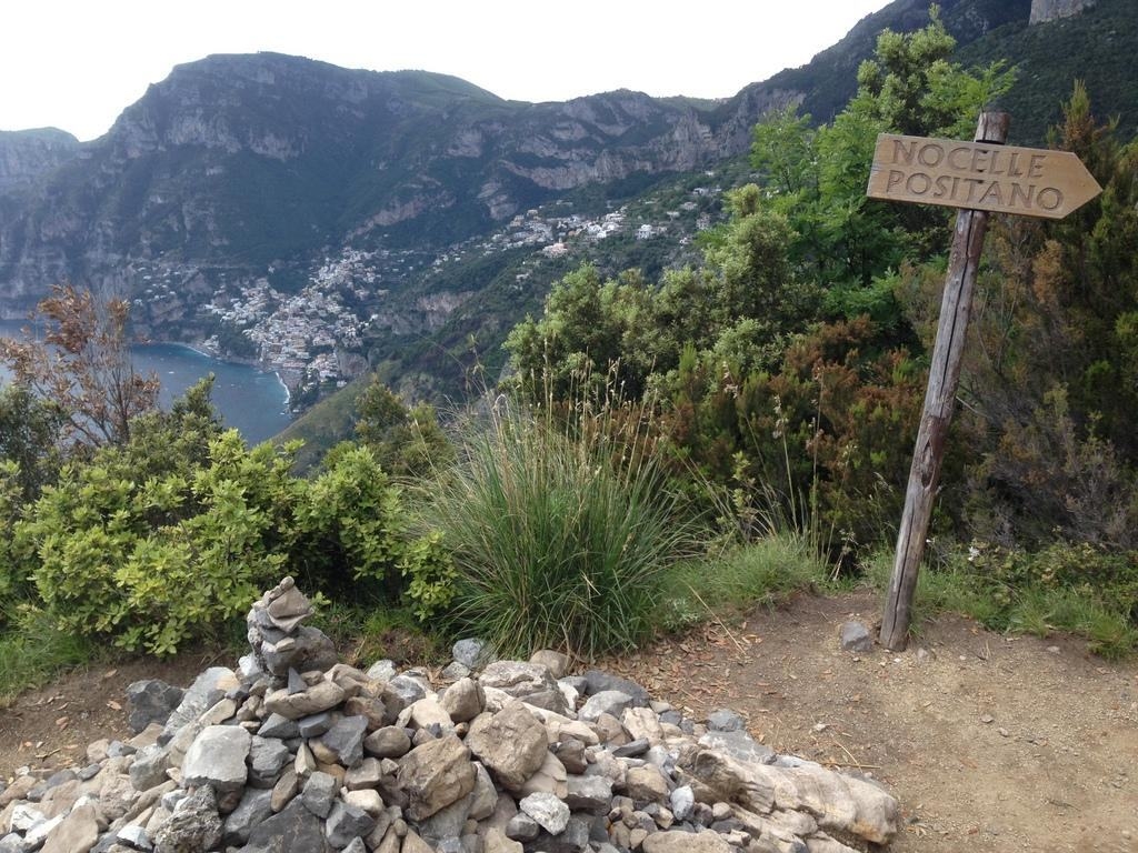 L´uliveto Sentiero degli Dei