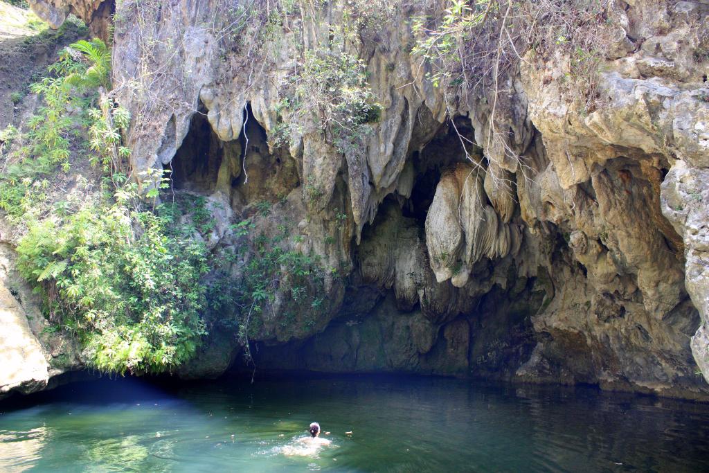 Nature Pool