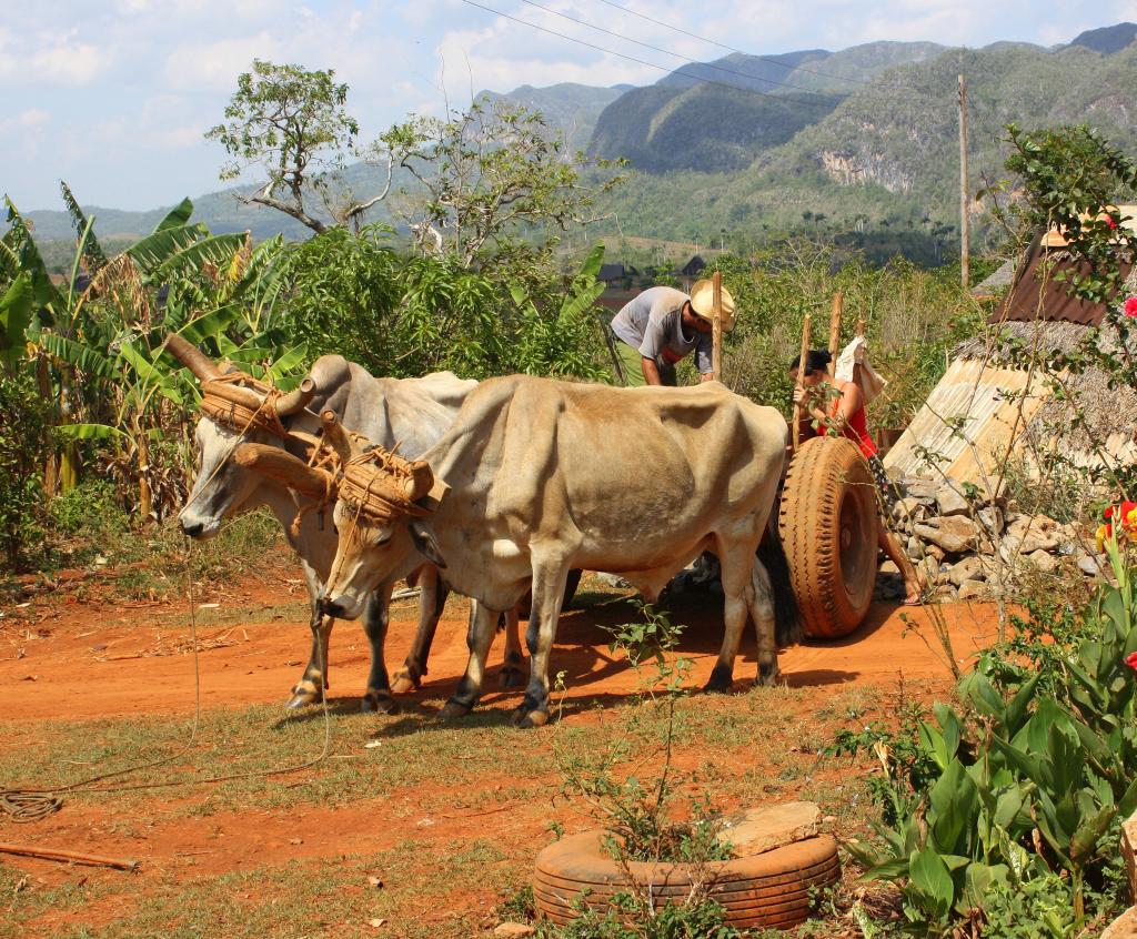 Valle de Vinales Ausritt