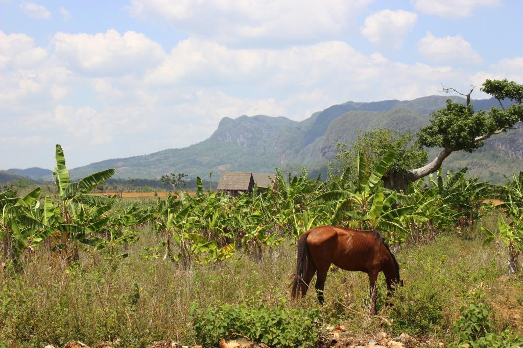 Valle de Vinales