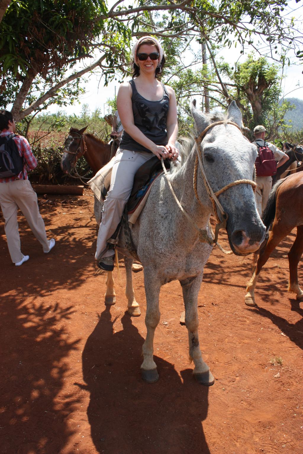 Valle de Vinales Pferd